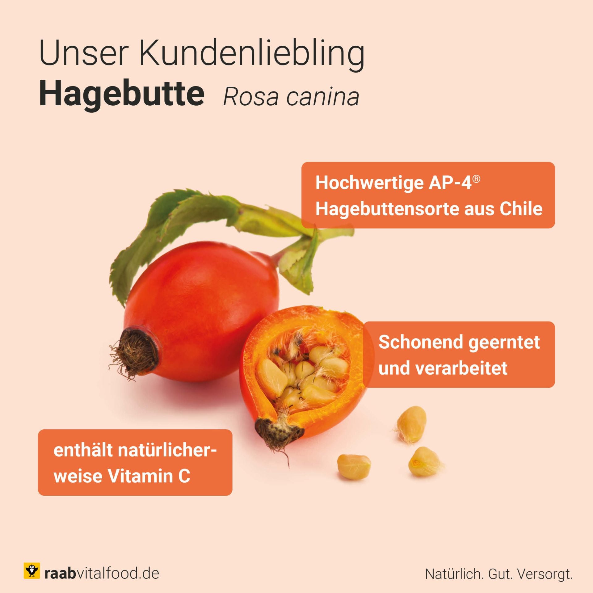 #locale_de#locale_nl