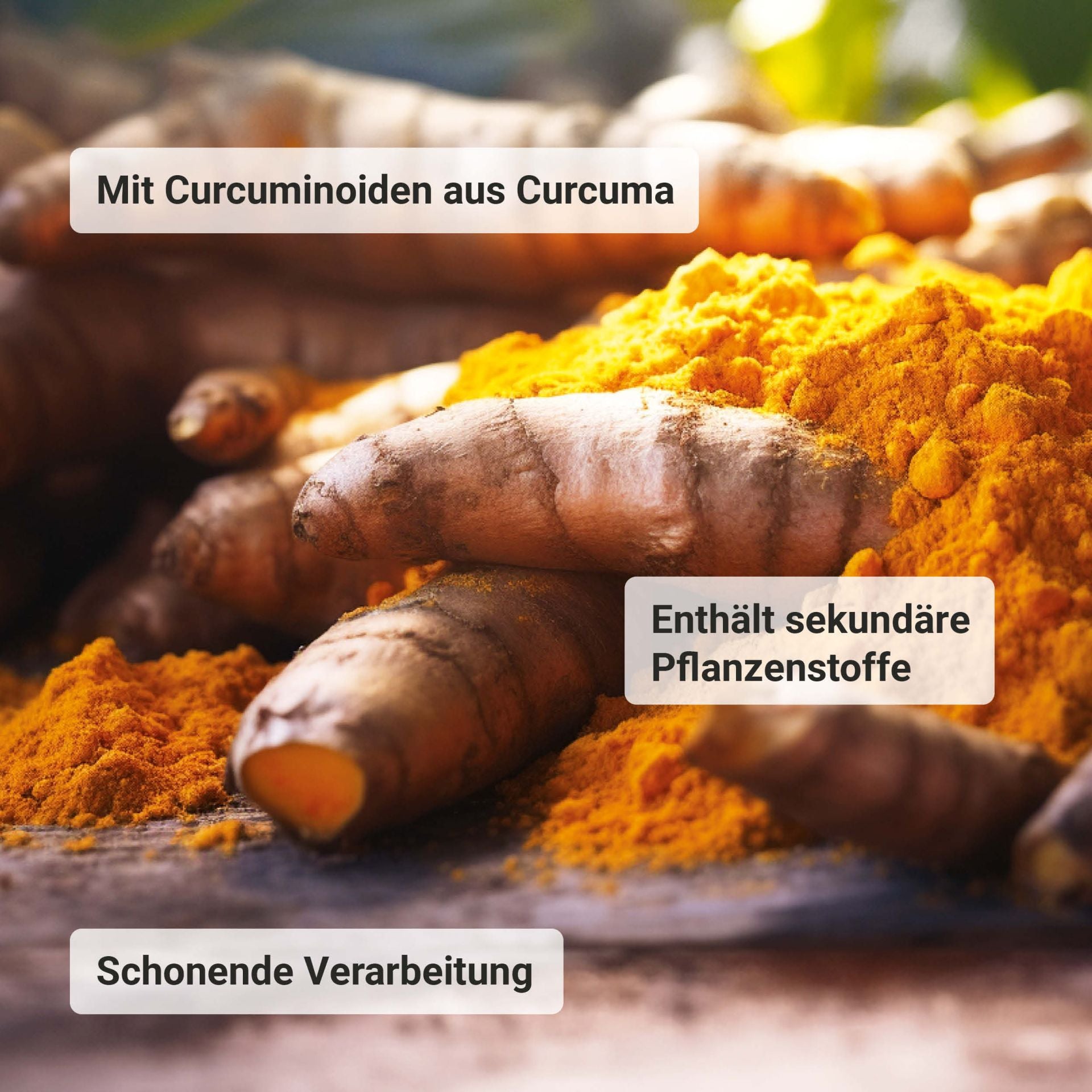 #locale_de#locale_nl
