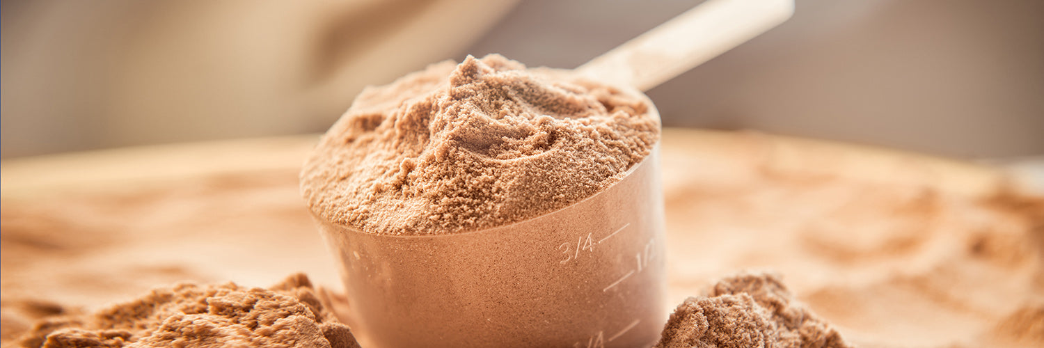 1500x500_Bodylab24-Whey-Protein---Labortest-März-2018