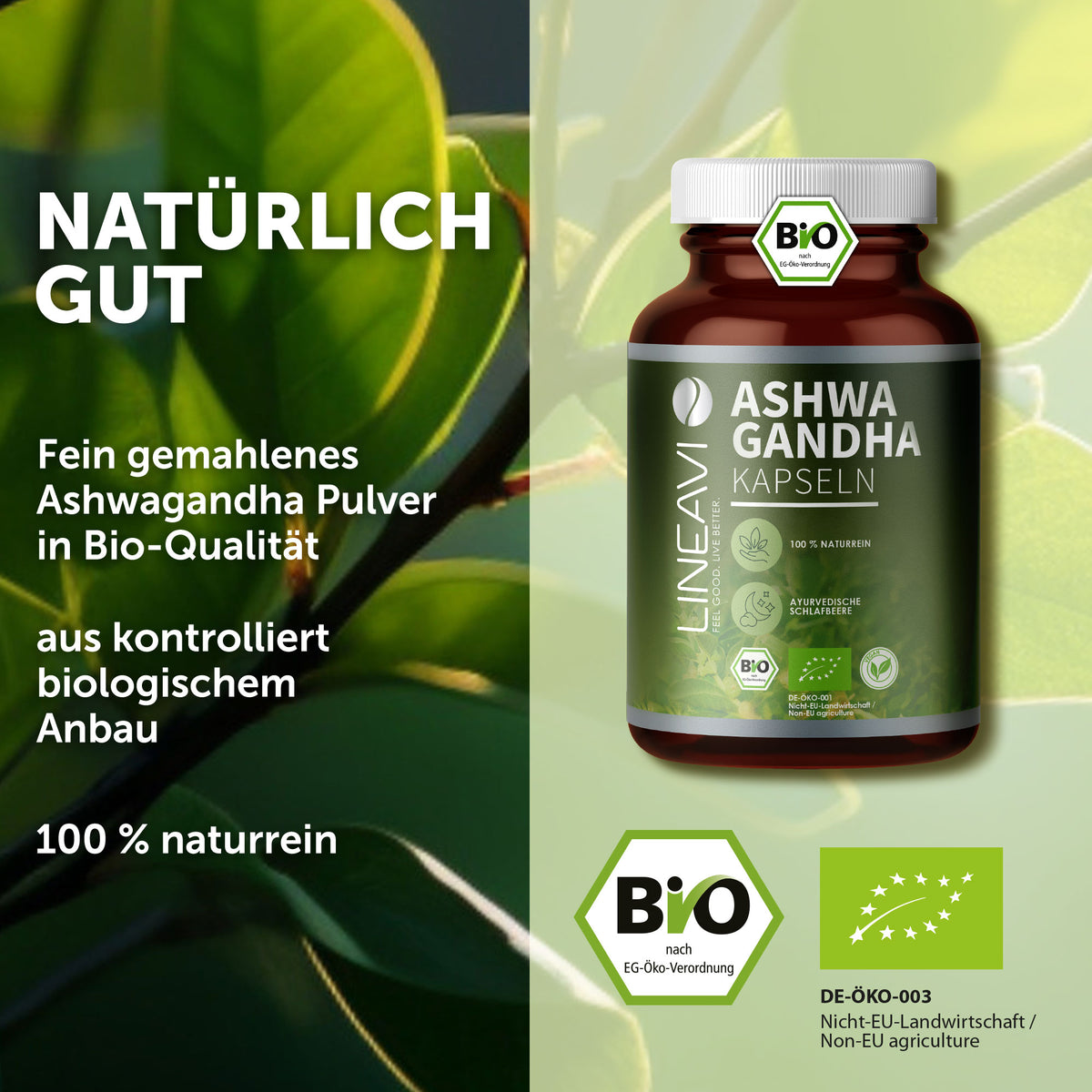 Doppelpack: Bio Ashwagandha Kapseln (2x150 Kapseln)