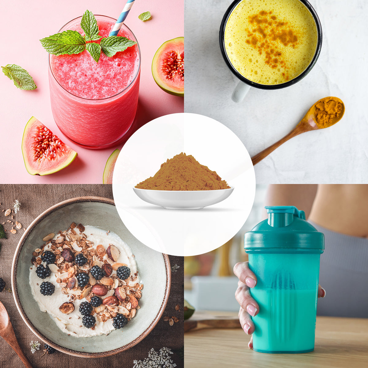 Bio Hagebuttenpulver (1000g)