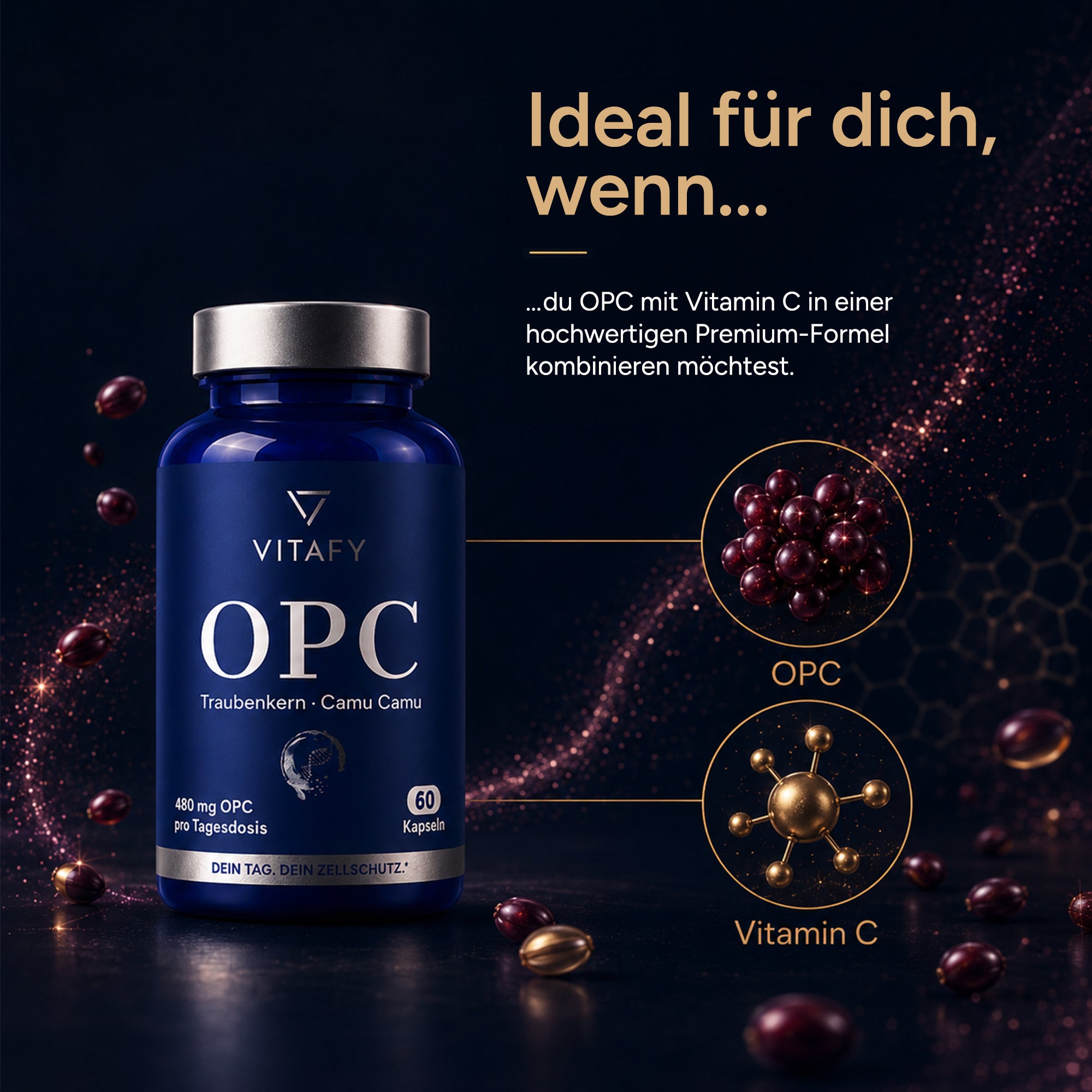 OPC Traubenkernextrakt + Vitamin C (60 Kapseln)