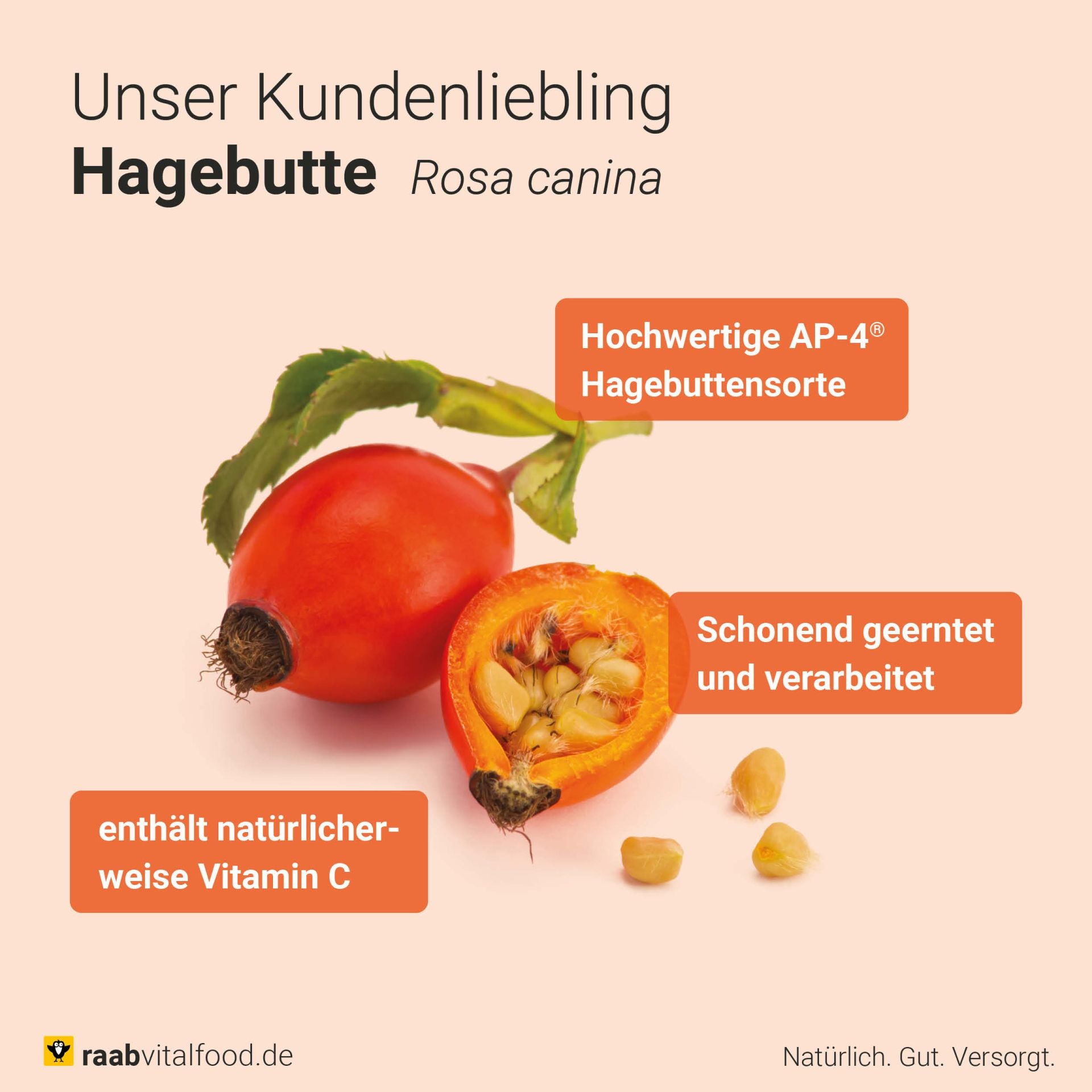 #locale_de#locale_nl