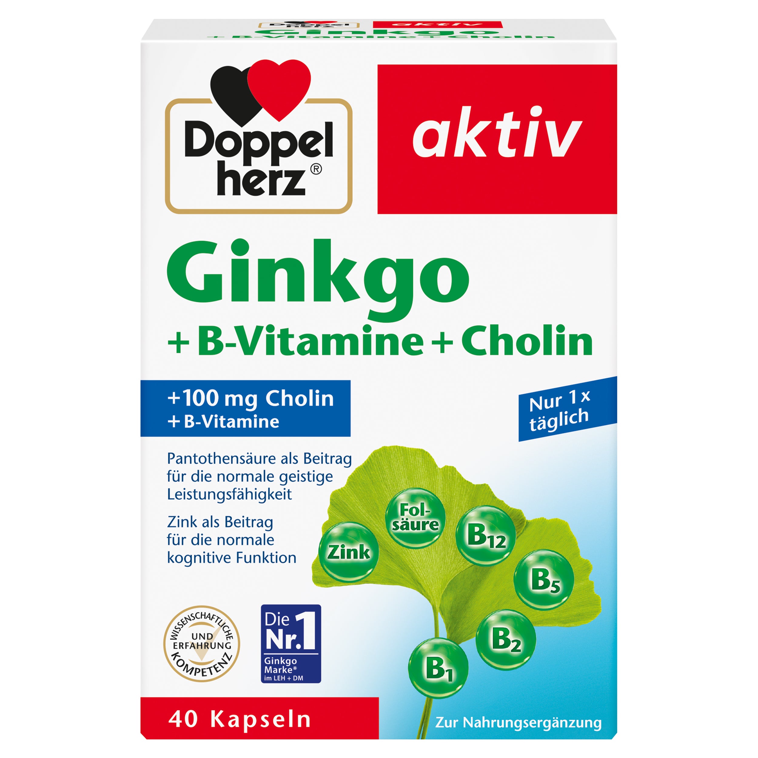 Ginkgo + Vitamin B + Cholin (40 Kapseln)