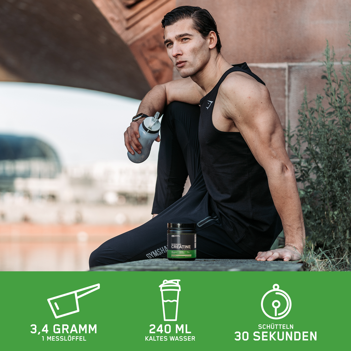 Micronised Creatine Powder (317g)