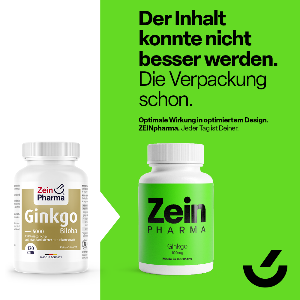 Ginkgo Biloba 100mg (120 Kapseln)