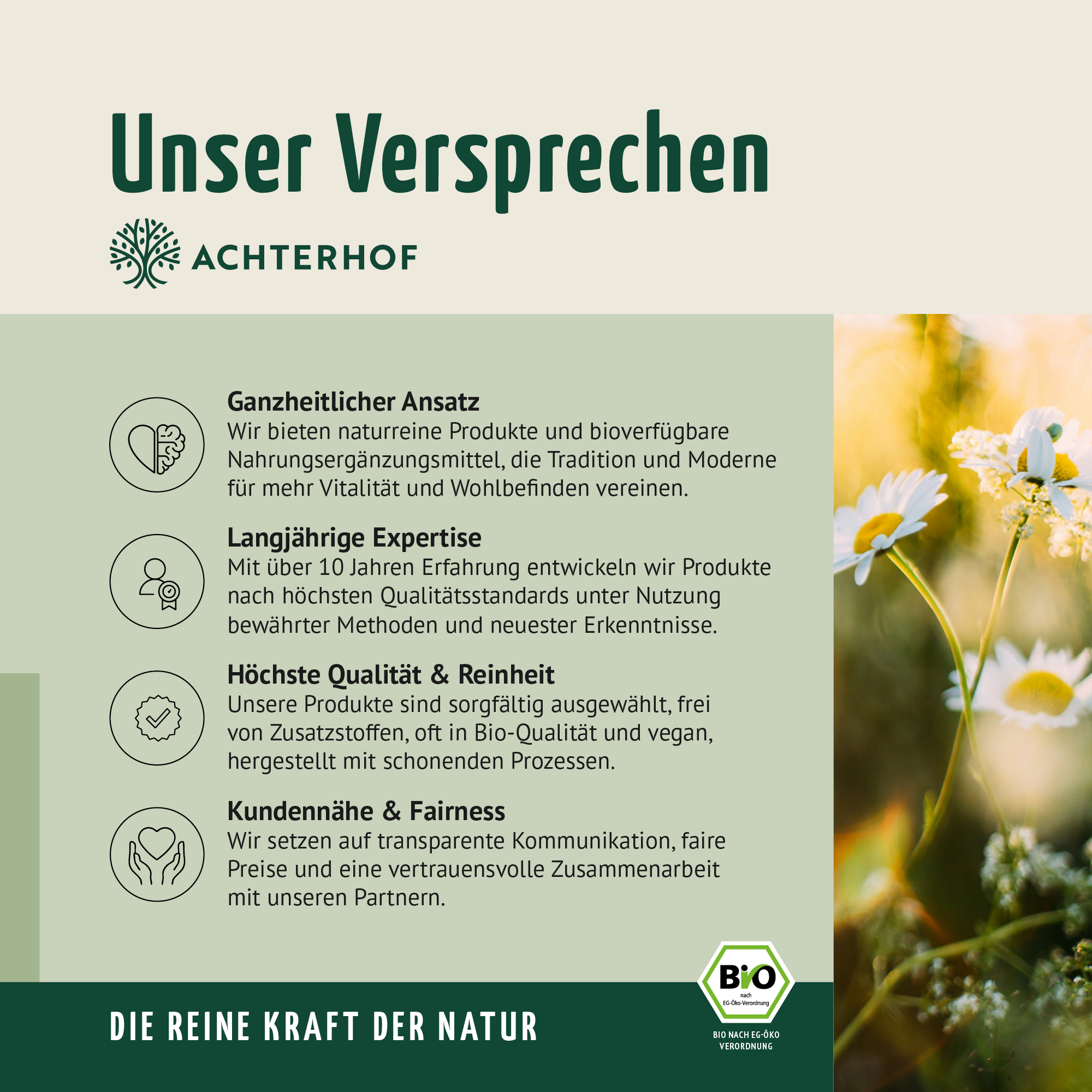 Bio Hagebutten Pulver (1000g)