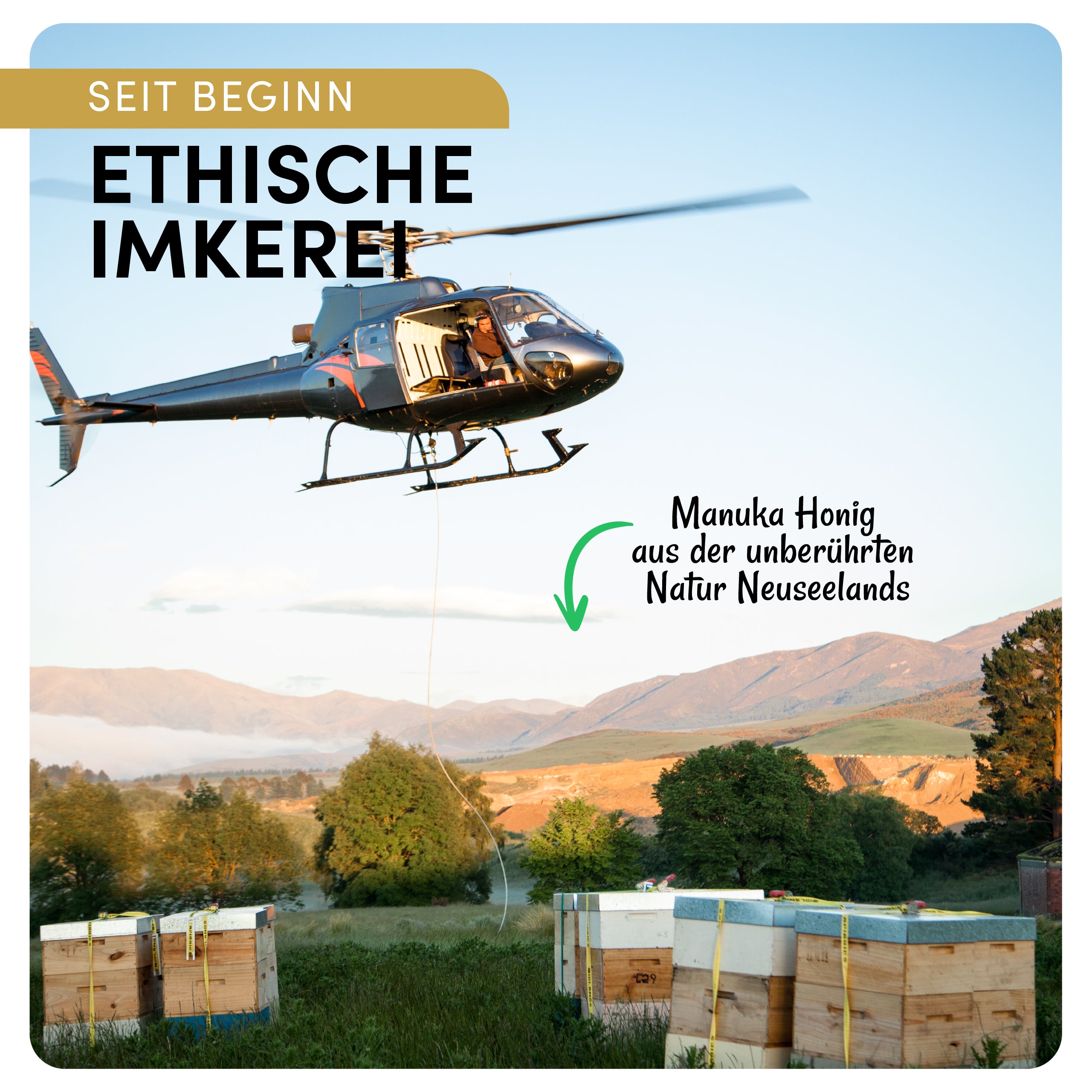 #locale_de#locale_nl