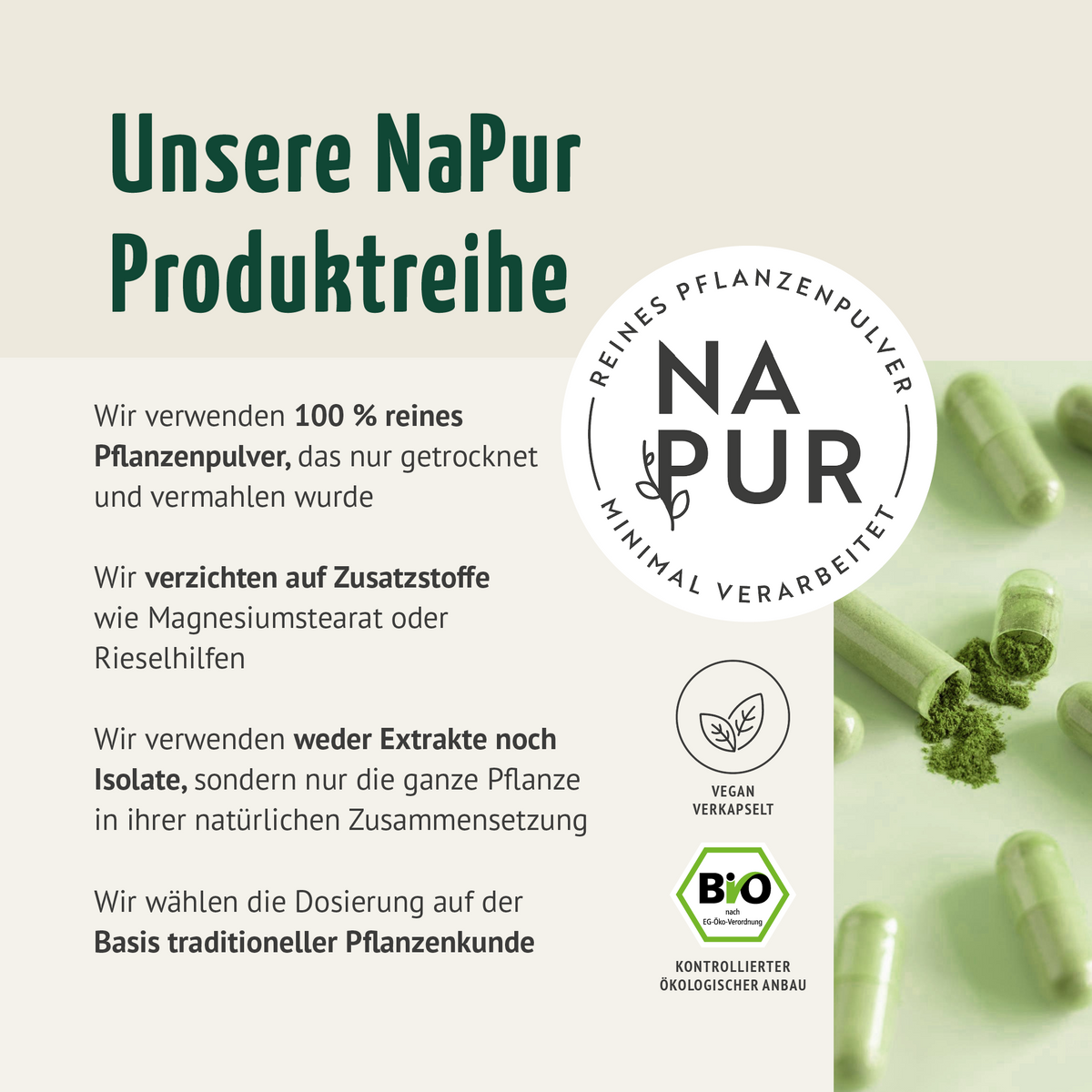 Moringa Kapseln Bio (150 Kapseln)
