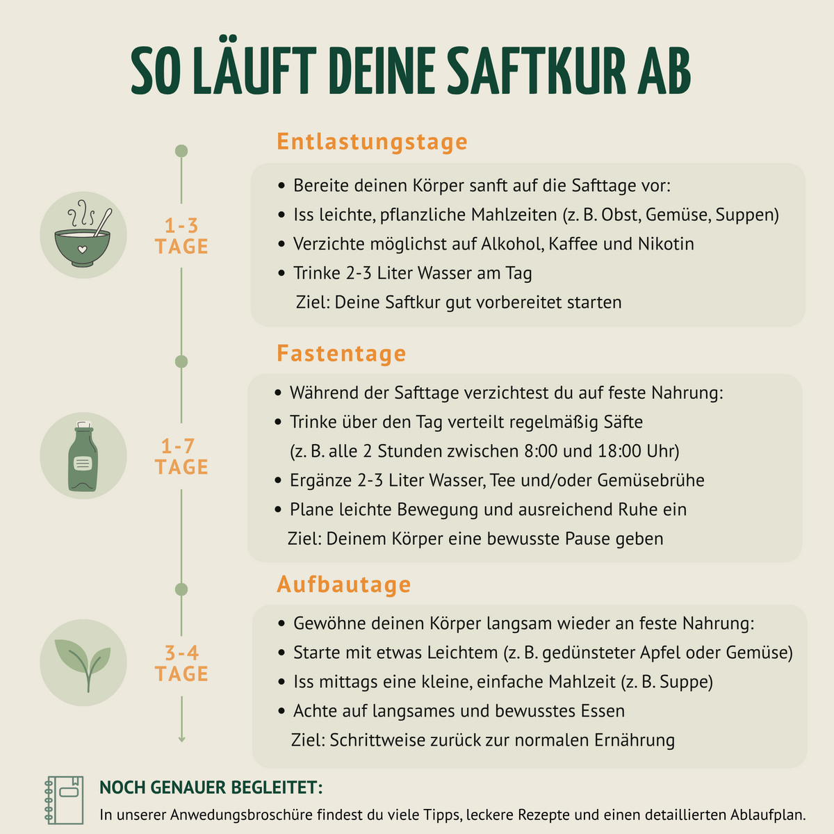 Saftzeit Bio Fastenkur 1-7 Tage (6 Flaschen pro Tag)